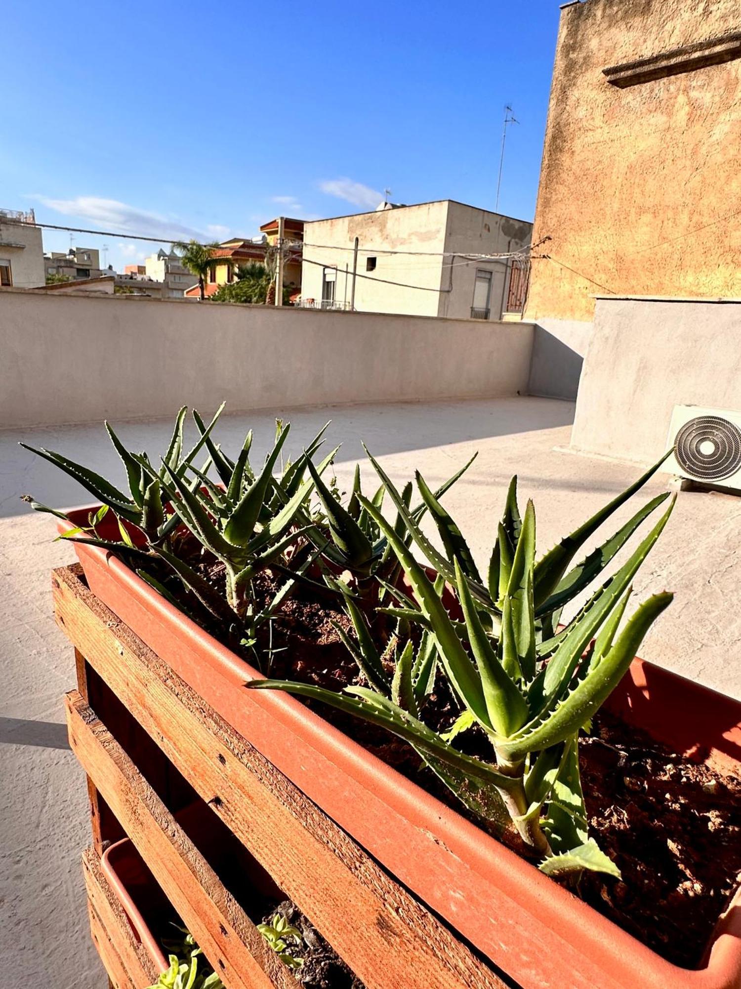 Seacily House Mazara del Vallo